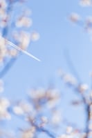 Easter travel private jet, Passover flights private aviation, contract pilots holiday demand, aviation crew sourcing, private jet scheduling, CrewBlast, on-demand pilots, charter operations spring travel