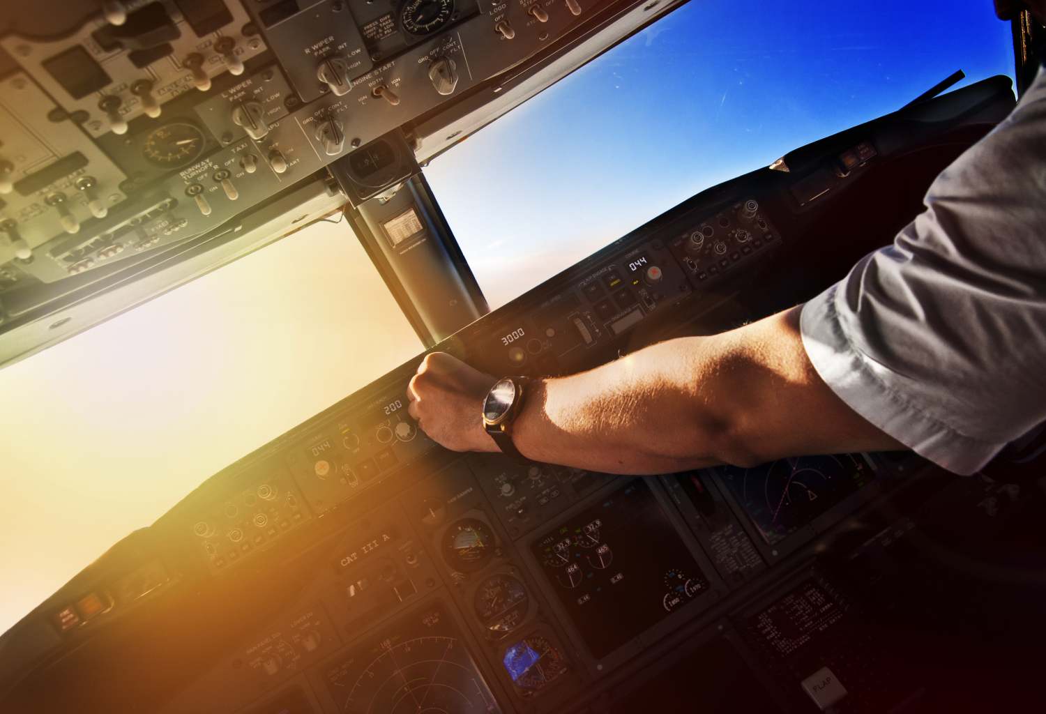 Corporate Pilot and Flight Attendant Jobs